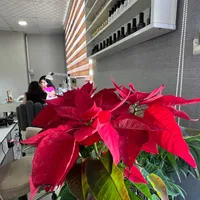 ندا علمداری