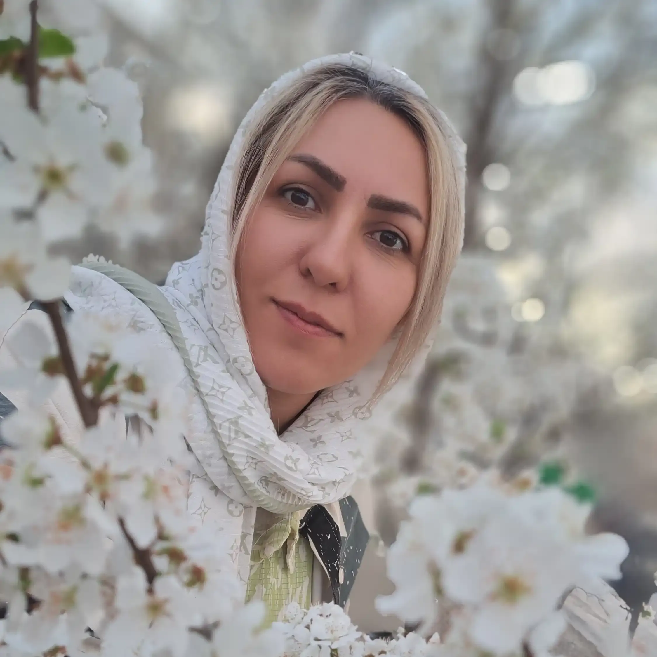 برورو برورو