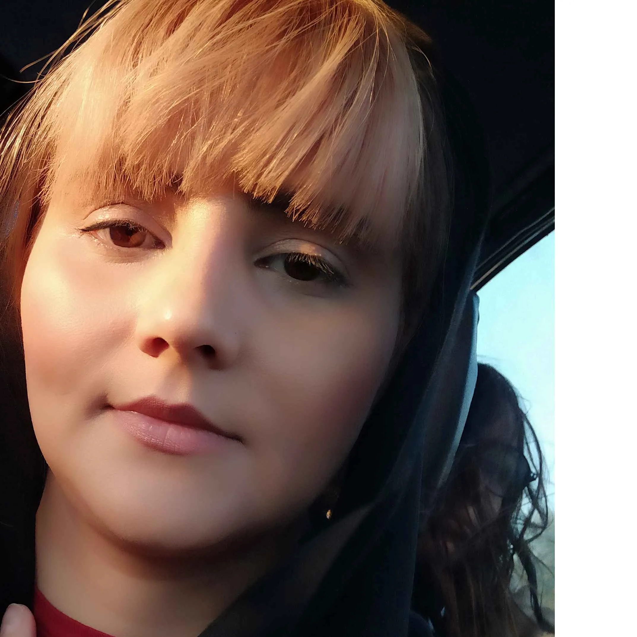 برورو برورو