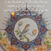 فاطمه سادات دلبری