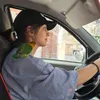 رویا شایان فر