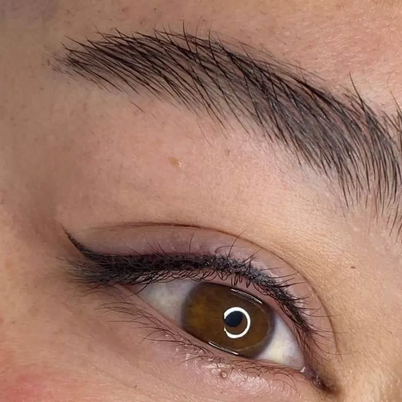 خط چشم دائم