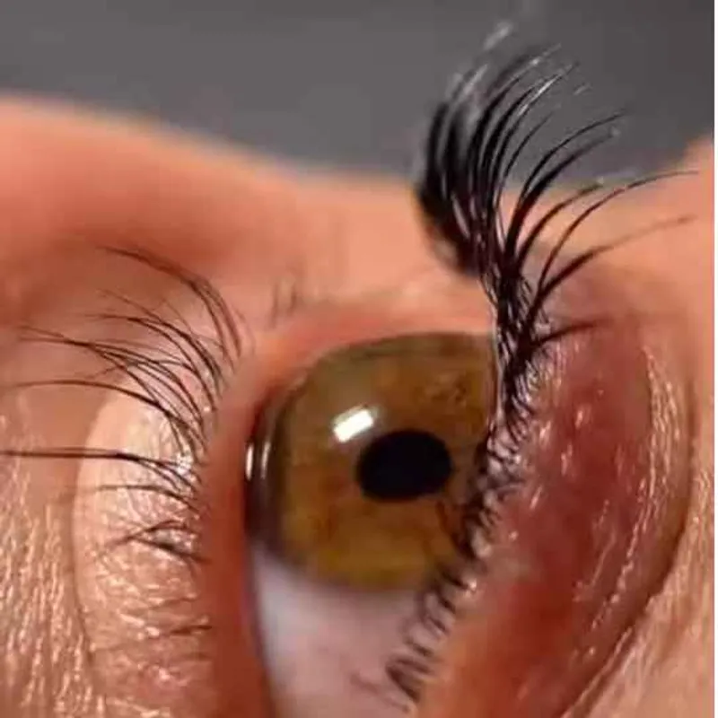 لیفت مژه و ابرو