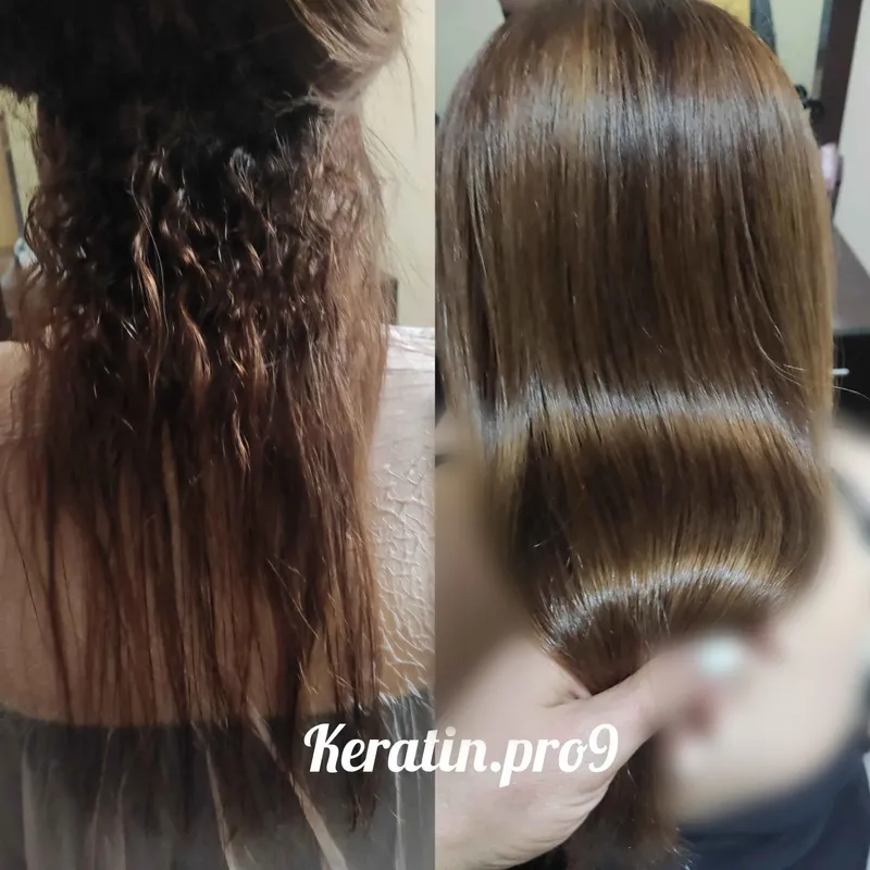 ترمیم و رشد ریشه