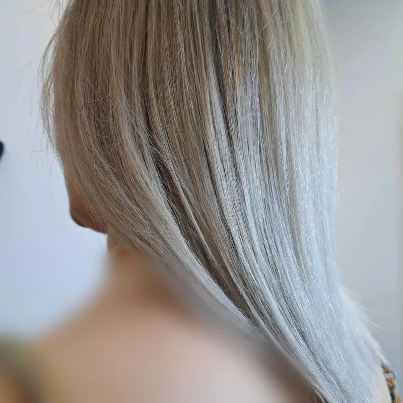 سبکهای جدید با تلفیقی از تجربه و تکنیک 