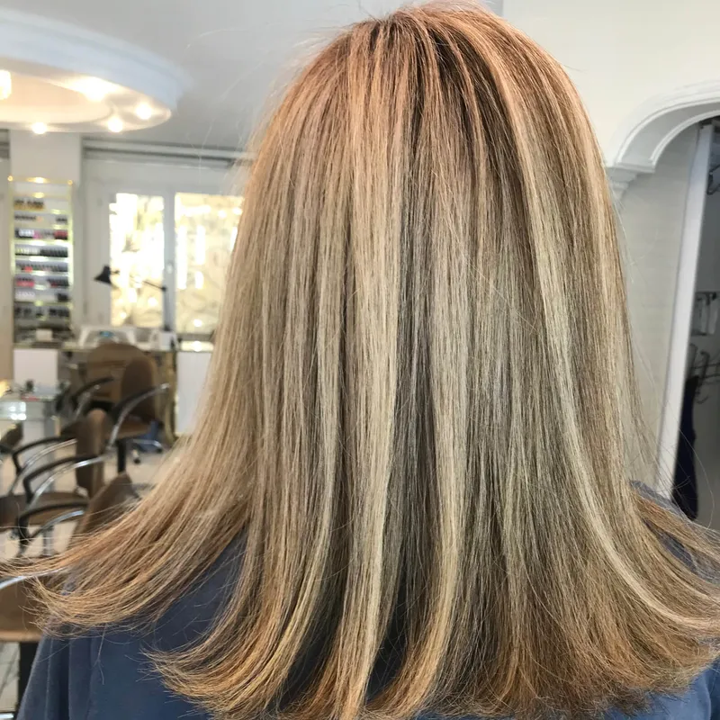 رنگ ریشه و رنساژ