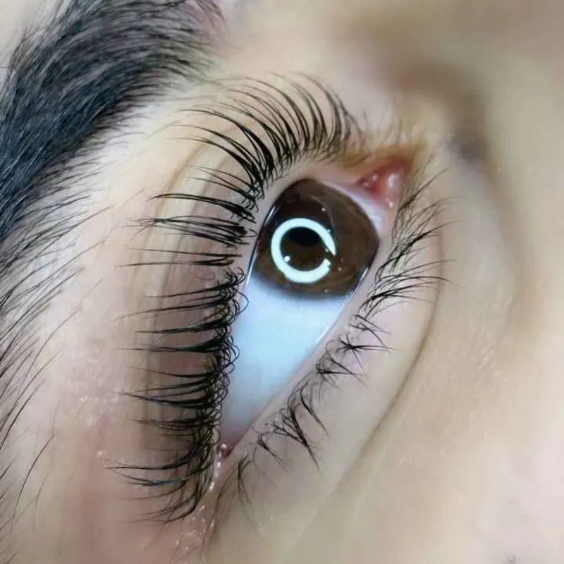 لیفت و لمینت مژه