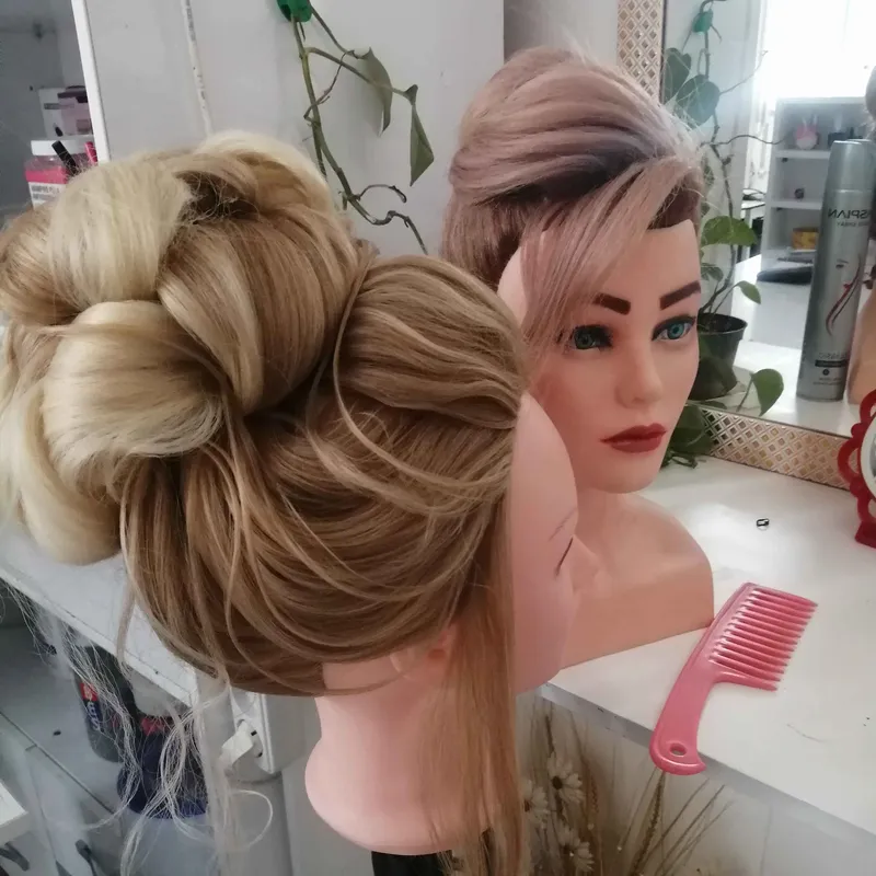 شنیون آموزشی 