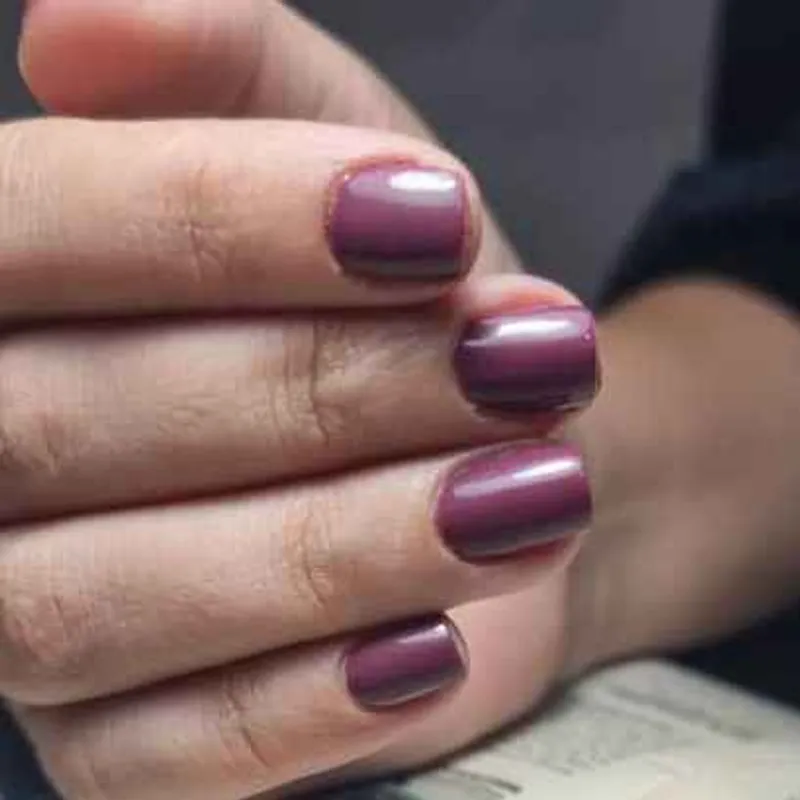 ژلپولیش روسی 