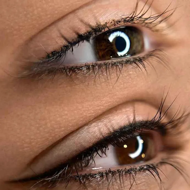 خط چشم مینیاتوری