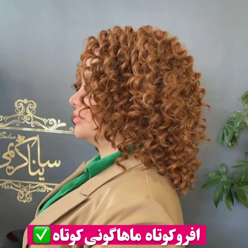 موی فر 