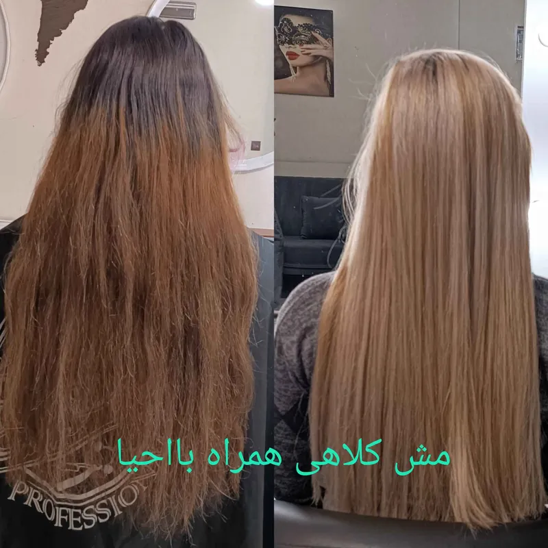 مش 