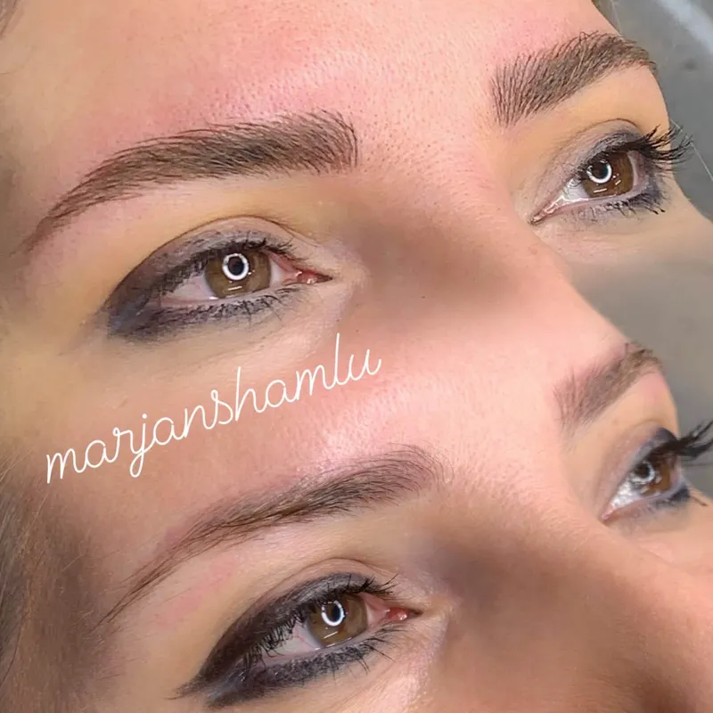 نانو بروز ابرو