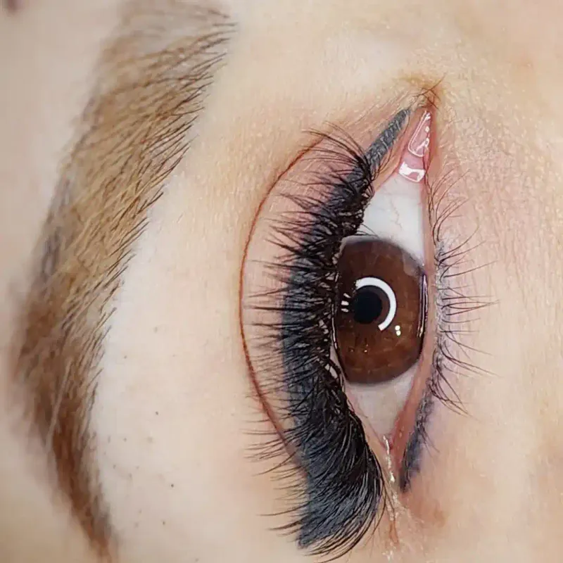 افکت سنجابی قیمت این کار ۶۵۰ ترمیم ۶۰۰