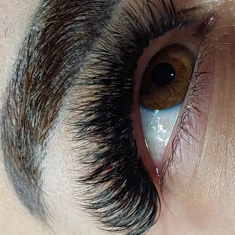 ۷۰۰ترمیم ۶۵۰