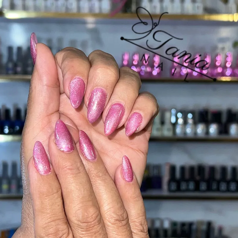 ایس ابنباتی