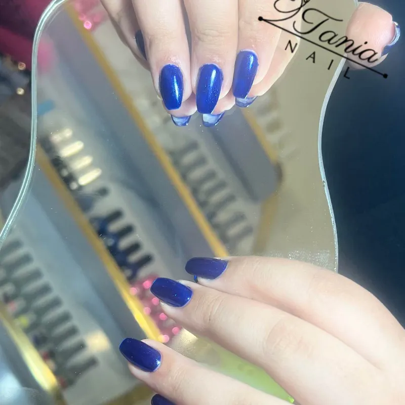 ابی شاینمون