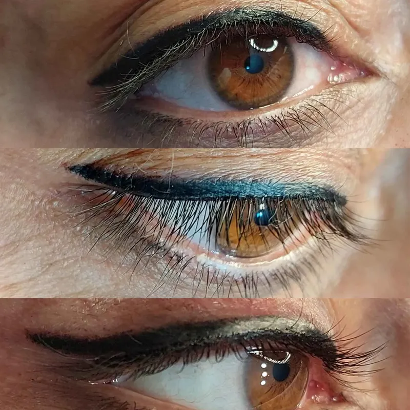 فیبروز ابرو،خط چشم دائم،شیدینگ لب