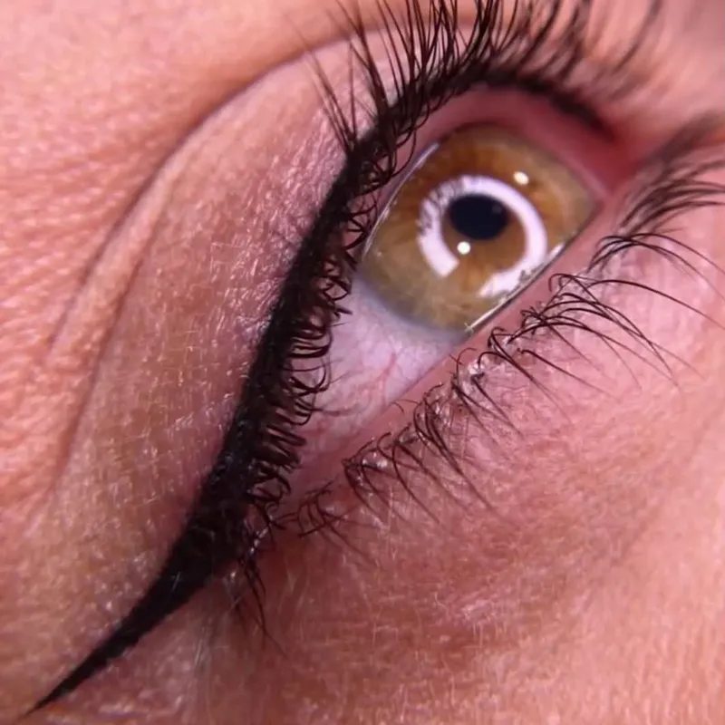 خط چشم میناتوری