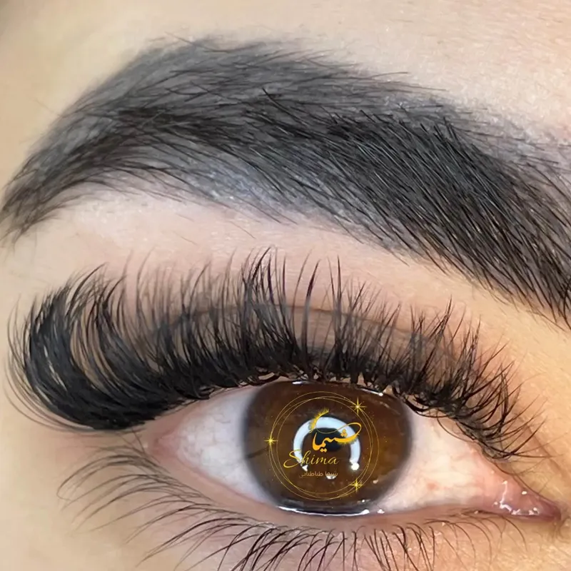 اکستنشن مگاوالیوم