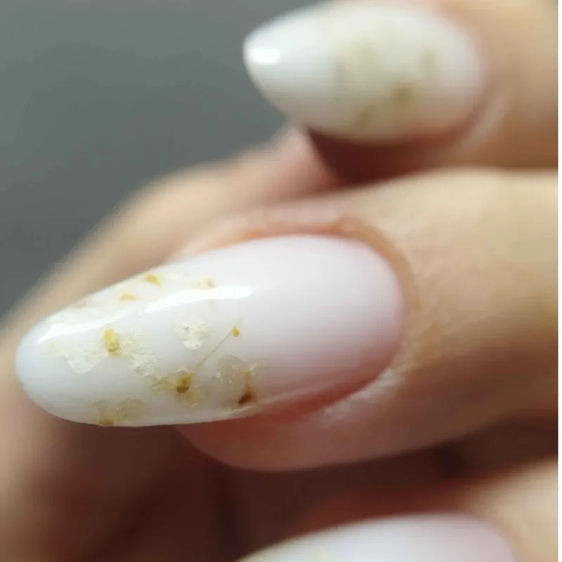 طراحی ودیزایین وکاشت استاد سبا 