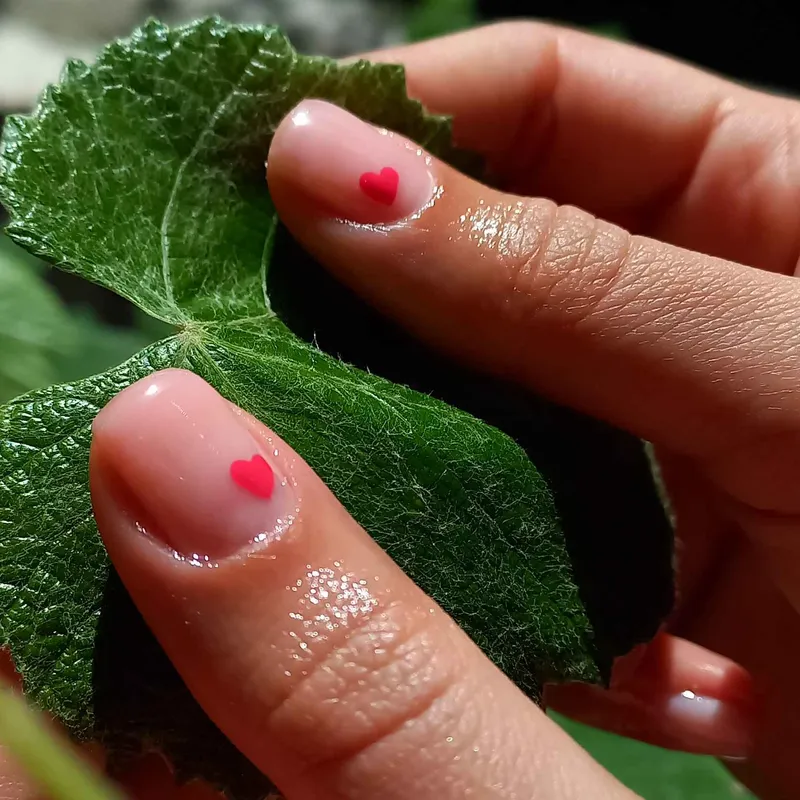 ناخن،رنگ و مش،کراتین،پروتئین،مژه،تتو؛کوتاهی