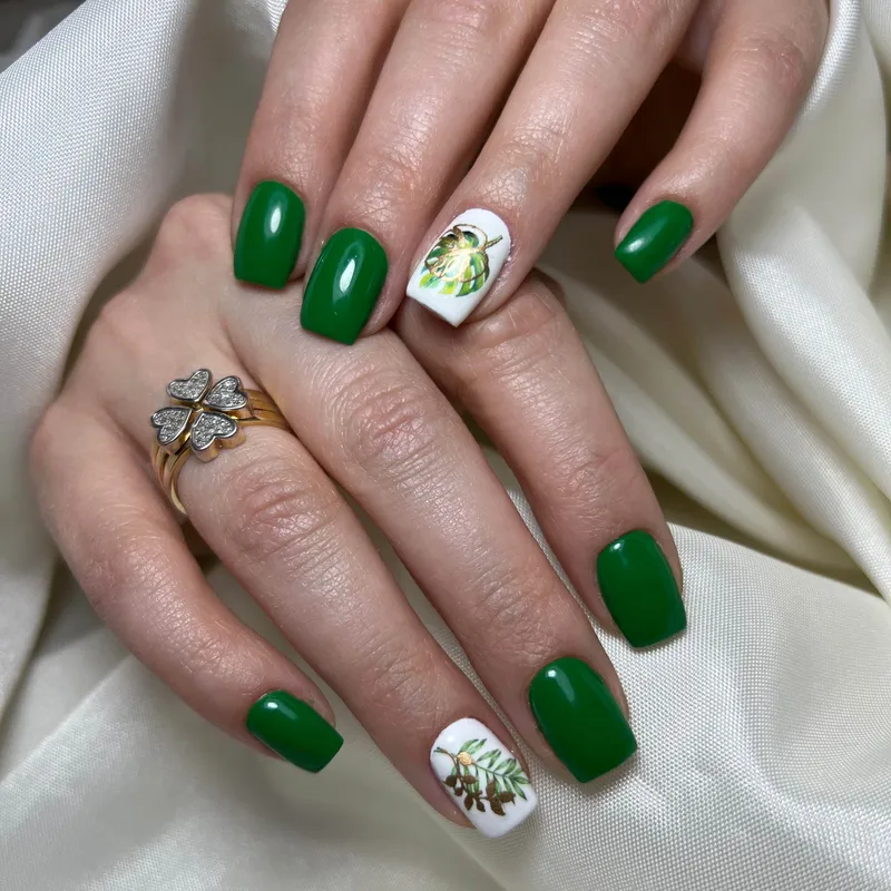 ترمیم لمینت