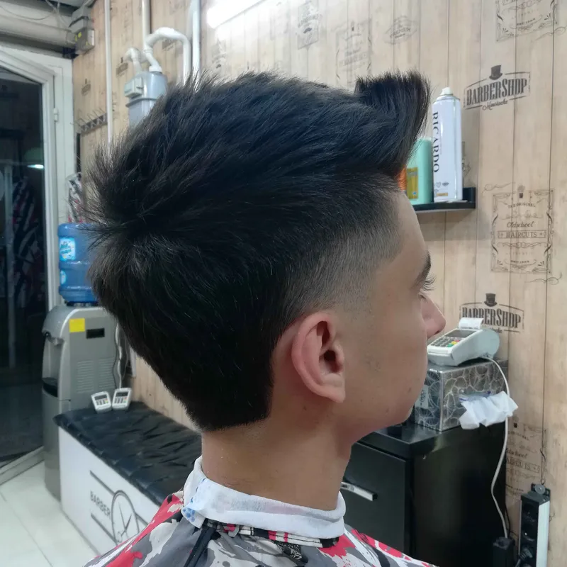 نمونه مدل مالت فید