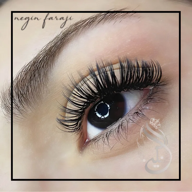 اکستنشن اسپاکی 