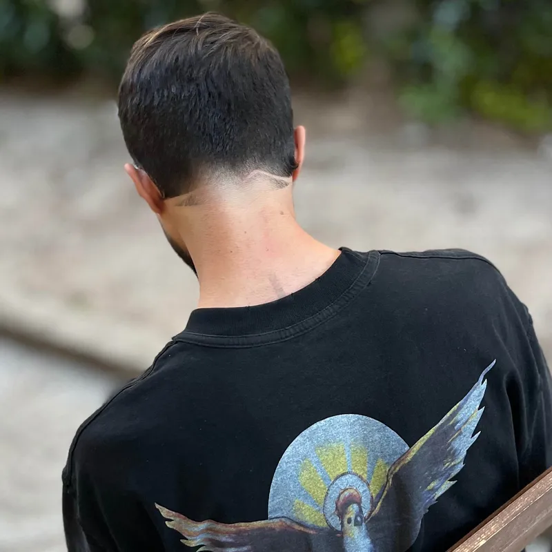 فید های دیزاینی