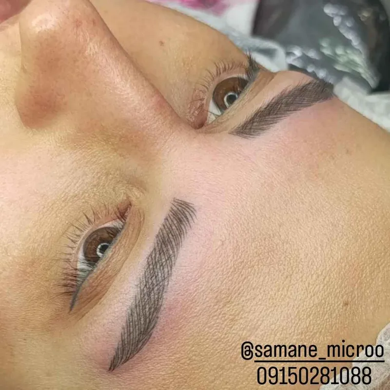 میکروتلفیقی