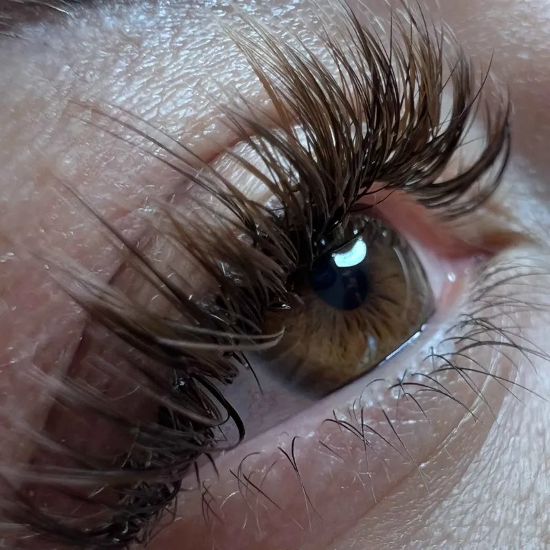 مژه قهوه‌ای 