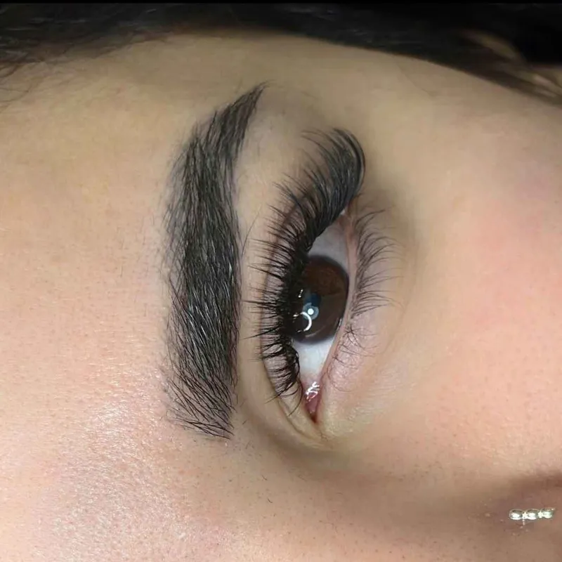 اکستنشن هیبریدی