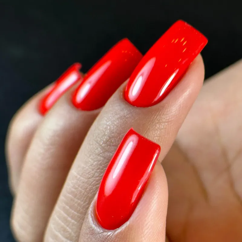 کاشت های سالنی