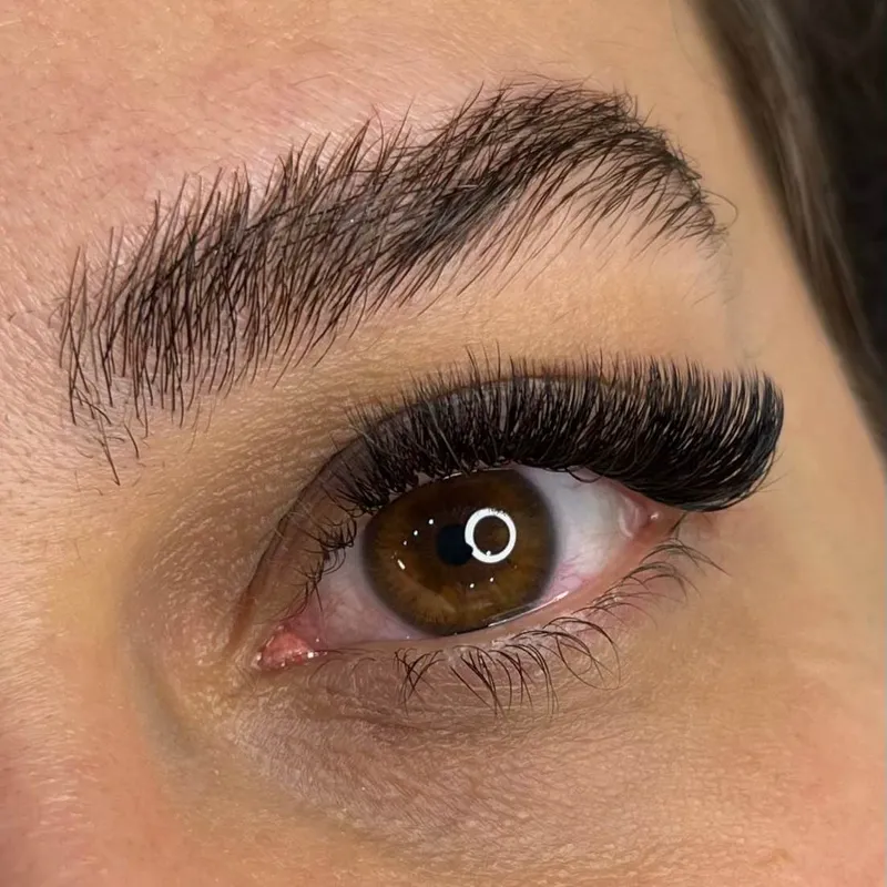 مگاوالیوم گربه‌ای ۹۰۰