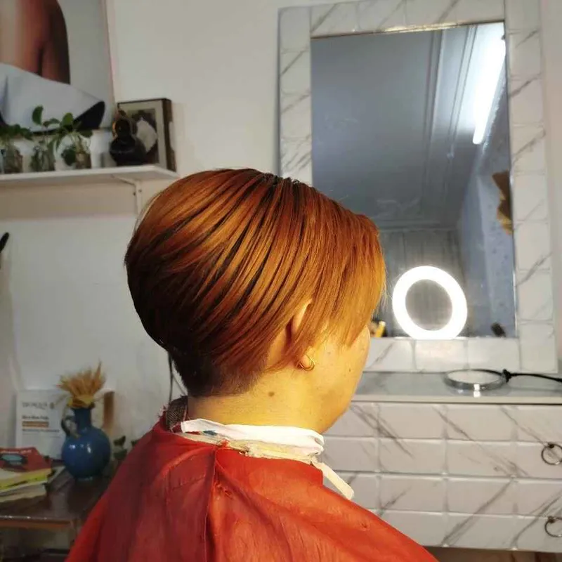 کوتاهی جدید 