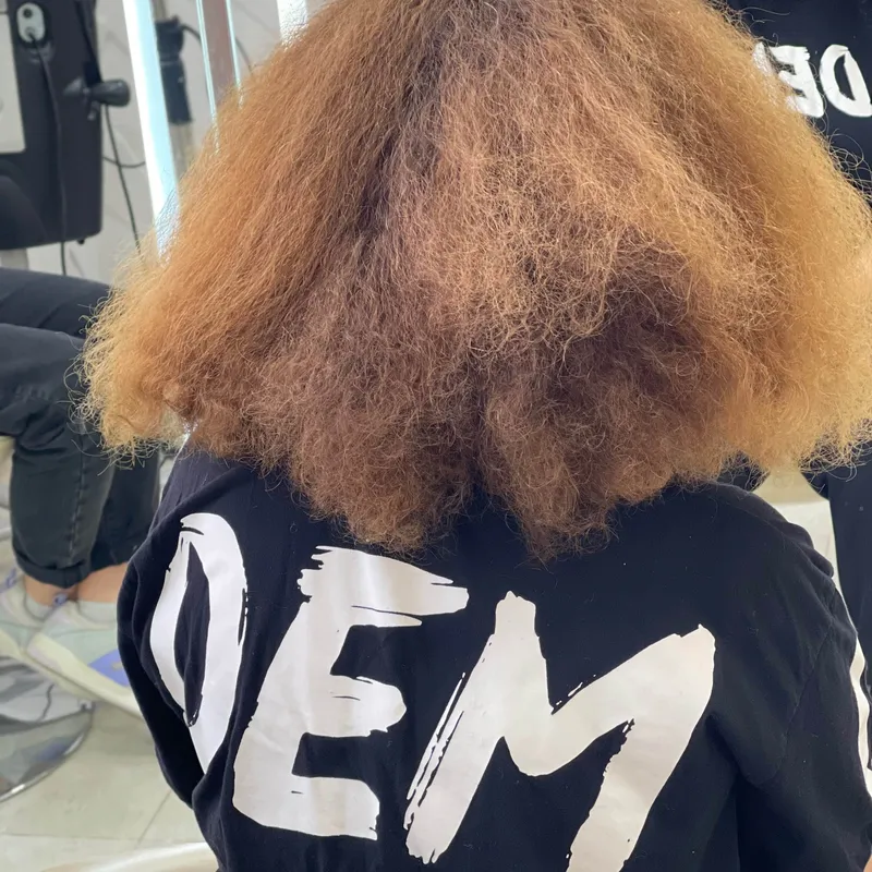 نانوپلاستیا