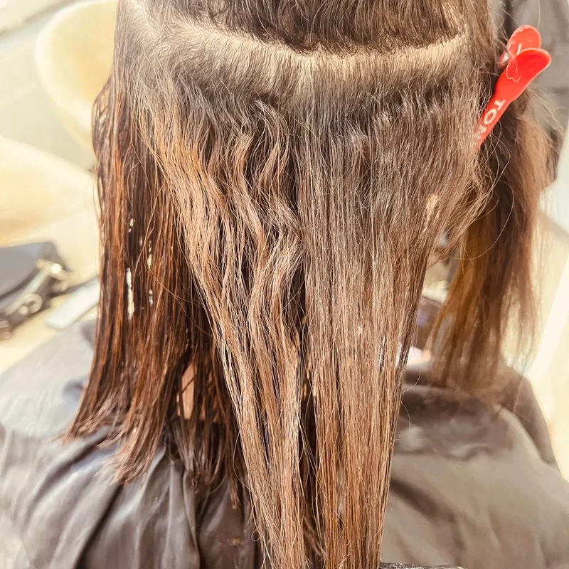 رشد ریشه پروتئین تراپی