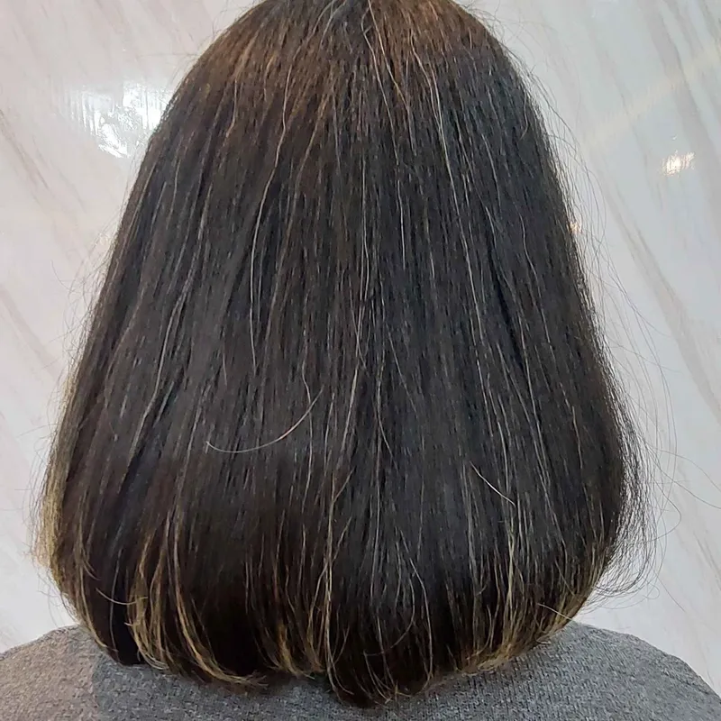 مدل مصری و مدل باب 