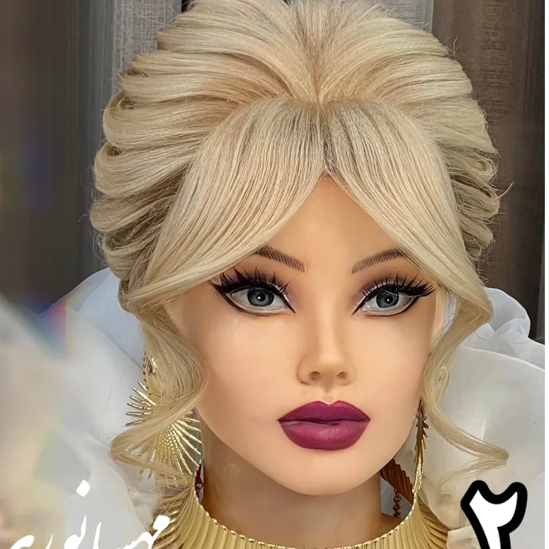 اموزش شنیون مهسانوری