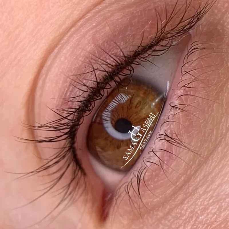 خط چشم ، خط مژه ، بن مژه ، خط چشم مینیاتوری