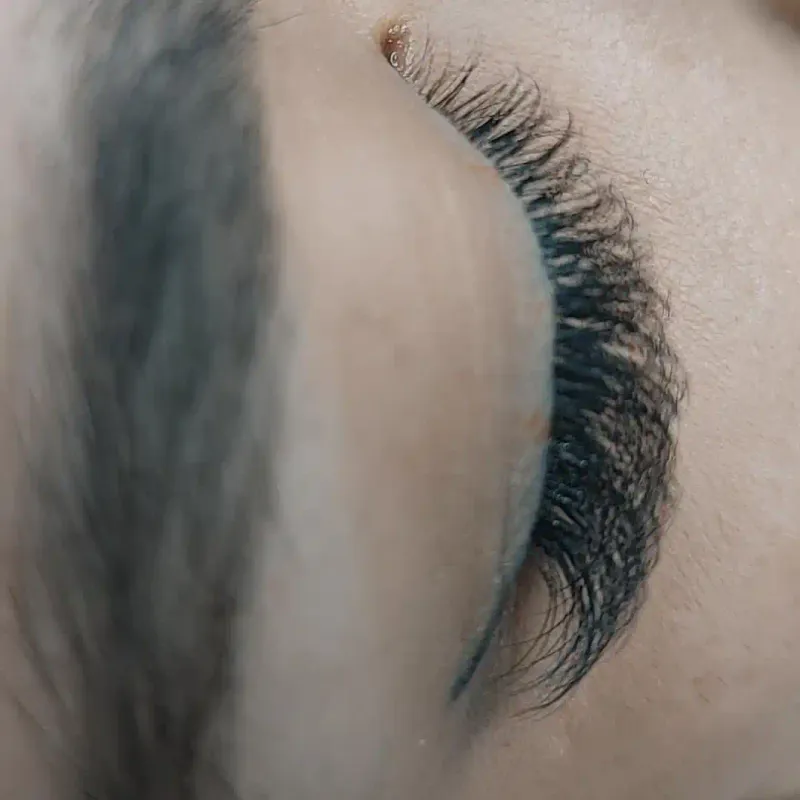 اکستنشن والیوم گربه ای