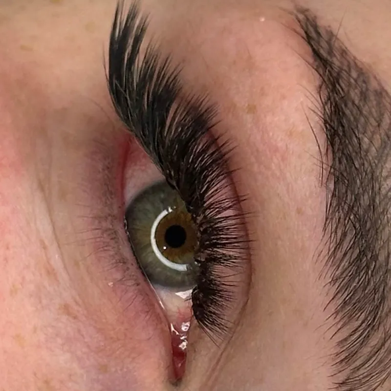 اکستنشن مدل ال