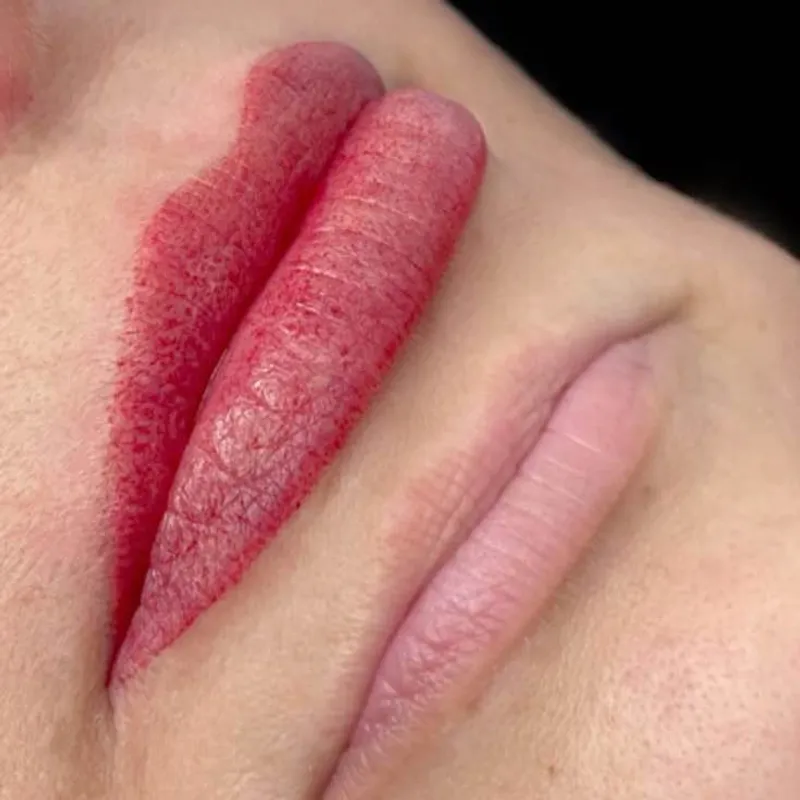 شیدینگ لب پیکسلی