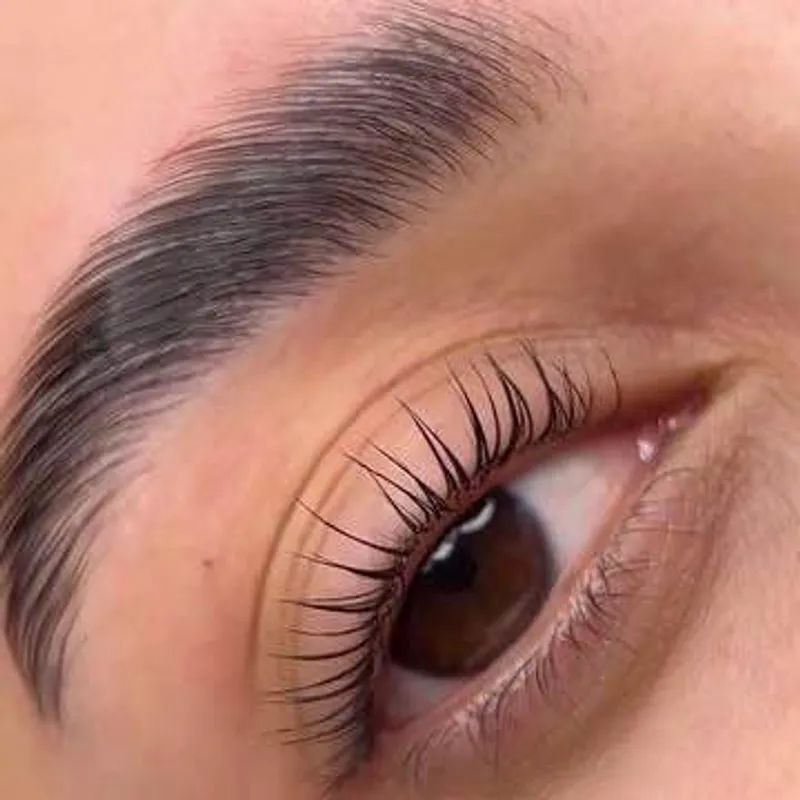 لیفت و لمینت