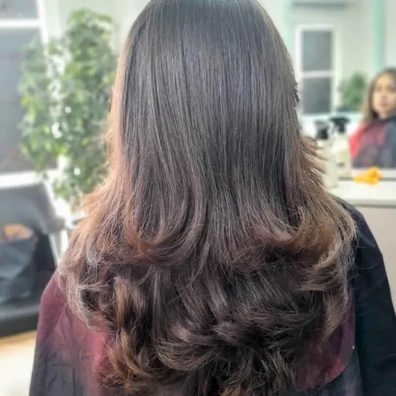 کوتاهی لییر