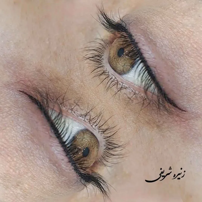 خط چشم مینیاتوری