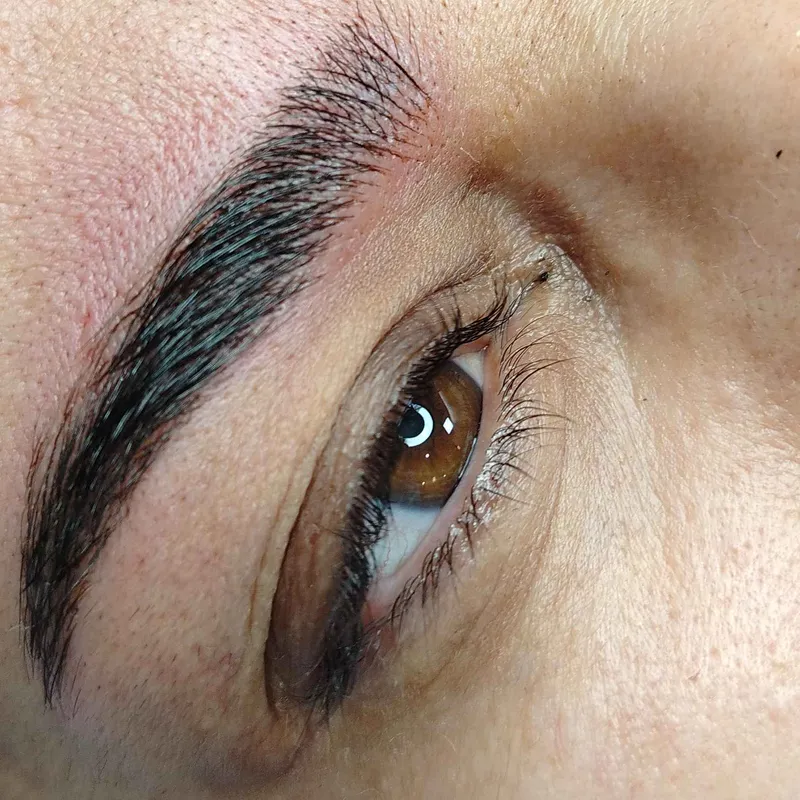 میکروبلیدینگ، میکروبیگمیتشن،رژلب و خط چشم دایم