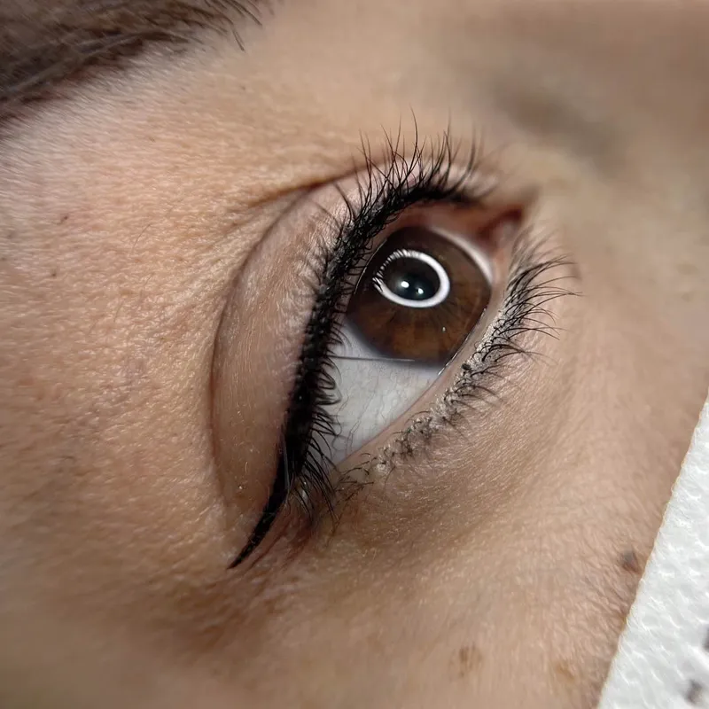 خط چشم مینیاتوری