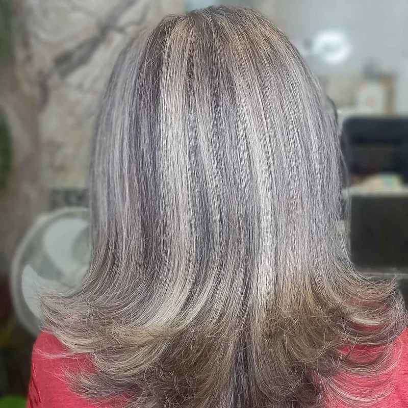 انواع لایتهای ژورنالی 